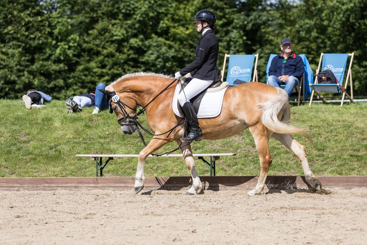 Bild 61 - Pony Akademie Turnier